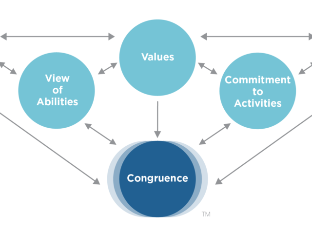 Selling Congruence Infographic