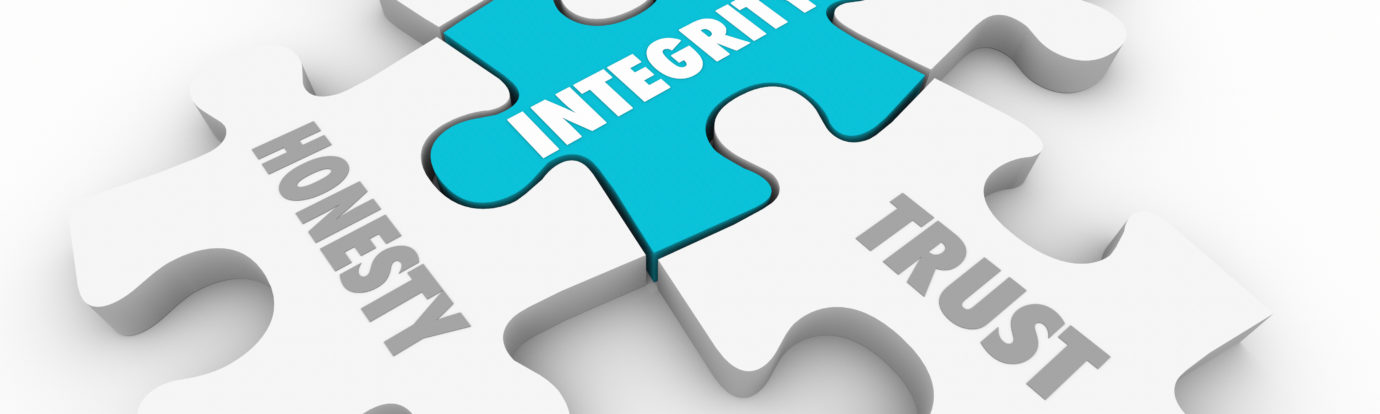 integrity solutions selling principles puzzle pieces