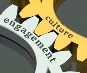 Culture and engagement cogs