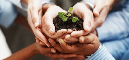 3 sets of hands holding dirt with plant inside