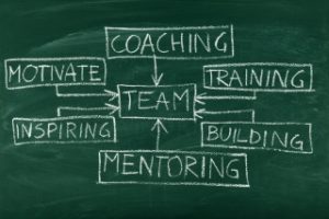 Components of a team, displayed on a chalkboard