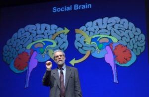 Social brain presentation