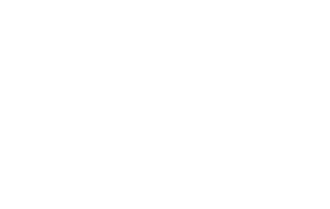 aaa logo