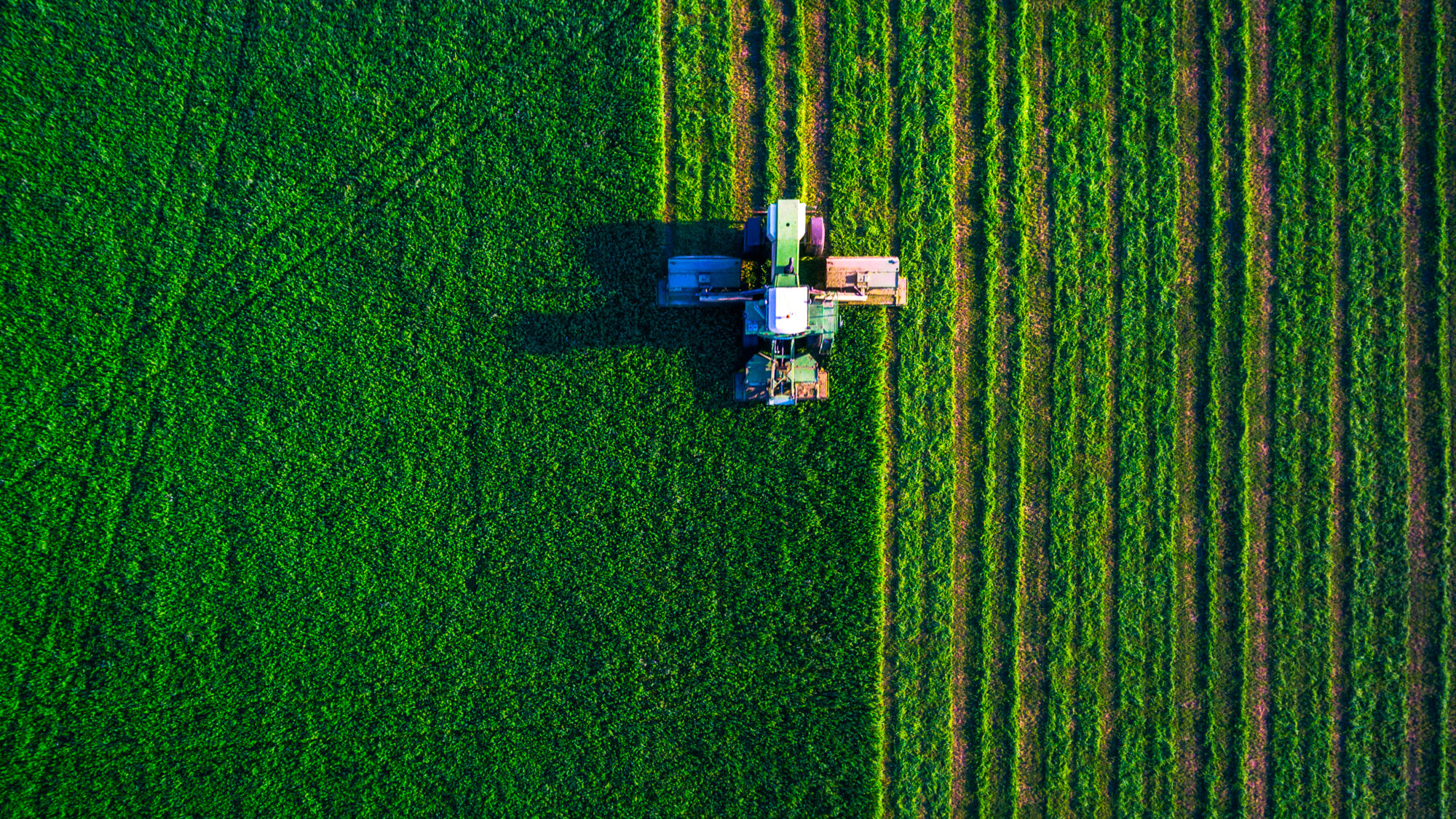 Agriculture Sales Training in the field